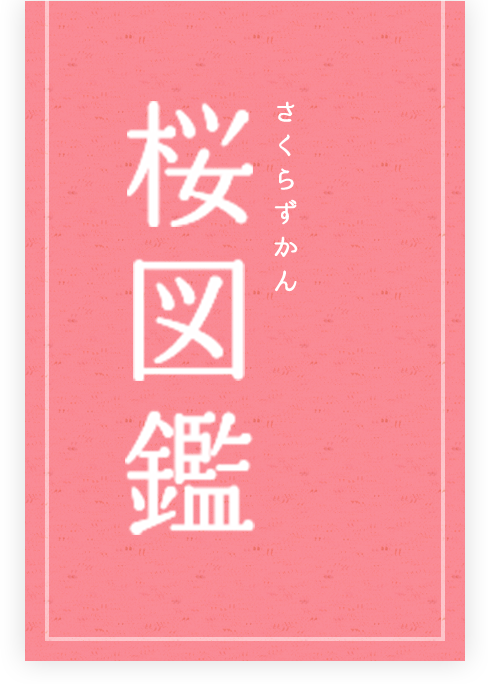 桜図鑑