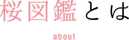 桜図鑑とは