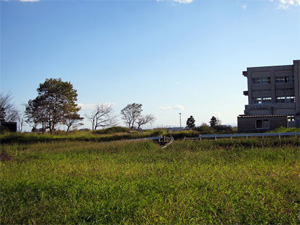 写真：“なとり復興桜”の苗木育成を支援（宮城県名取市）