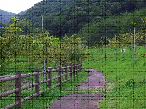 写真:事業の目的(経緯と概要)