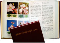 写真：「日本の桜の種・品種マニュアル」