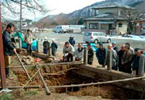 写真：樹勢回復調査