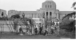 写真：植樹の様子 