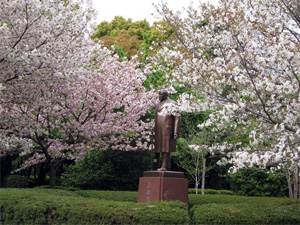 写真：北の丸公園（東京都千代田区）