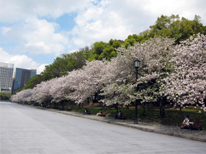 写真：馬場先門（東京都千代田区）