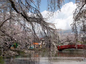 写真：臥竜公園（長野県須坂市）