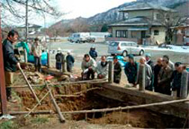 写真：樹勢回復工事