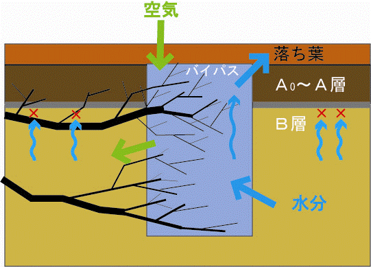 写真:土壌環境改善のコンセプト