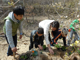写真：里山では子供たちも花植え作業