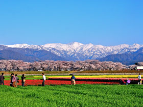 写真：山崎 久夫