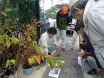 写真：埼玉県久喜市「静桜」の接木講習を行い植栽計画をアドバイス
