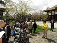 写真：高田寺町神社群