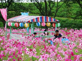 写真：まちづくり宮ノ下地区委員会