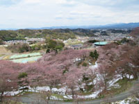 写真：霞ヶ城公園