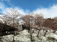 写真：霞ヶ城公園