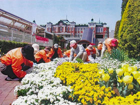写真：駅前花壇を手入れする市民ガーデニングボランティア