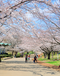 青葉の森公園