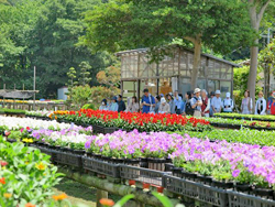 写真：現地見学会