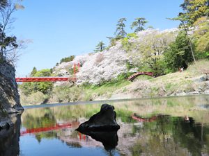 写真：桜淵公園（愛知県新城市）