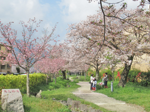 写真：八幡高見地区（福岡県北九州市）