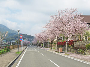 写真：八幡高見地区（福岡県北九州市）