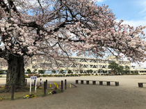 写真：さくら市立氏家小学校（栃木県さくら市）