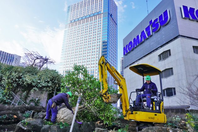 移植工事中の屋上庭園 (2024年1月23日)