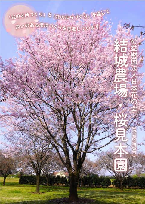 写真：結城農場・桜見本園 ご案内